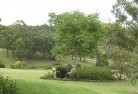 Murrindalresidential-landscaping-40.jpg; ?>